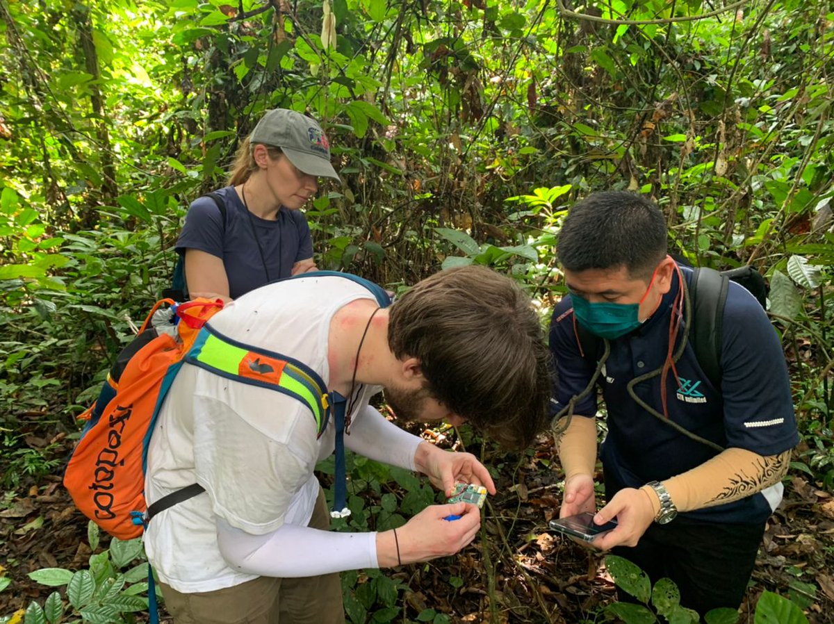 SENSOR Project tweet media