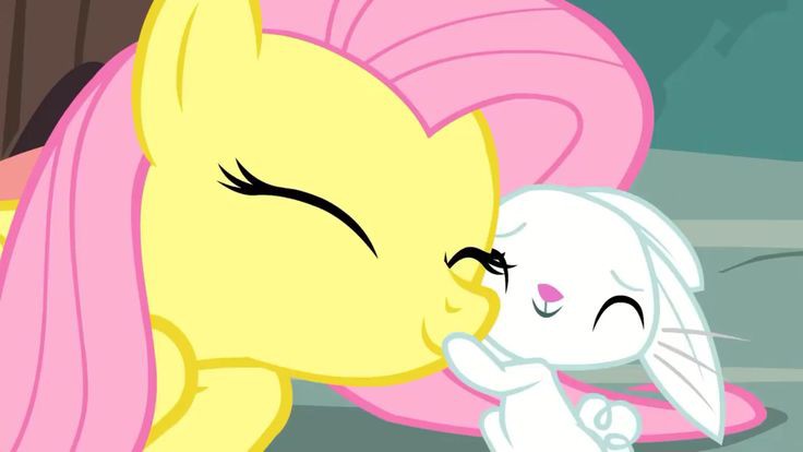 💭 (@comfortmlp) on Twitter photo 