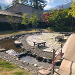 ツイートに含まれる画像