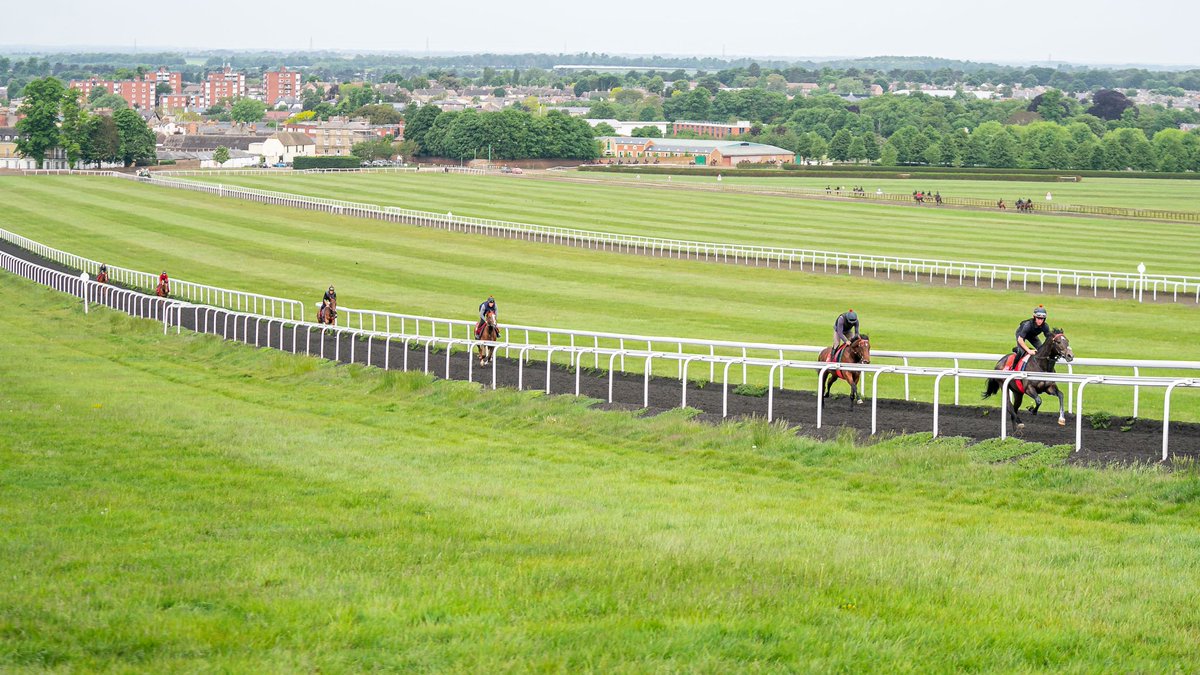 ahaynesracing's tweet photo. Could be a worse office! πππΌ
πΈ @EquuisImages
#AHaynesRacing #Colourpin #HorseRacing https://t.co/wiq9wwcm7Q