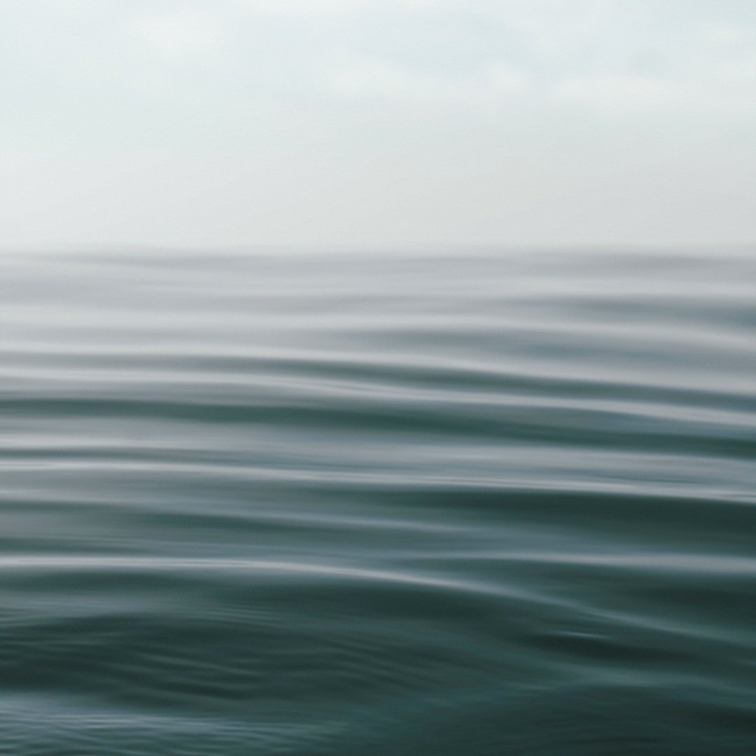 GM fam! What feeling does this image give you?

#NFT #nftphotography #NFTCommunity