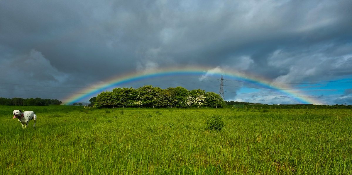 dally_greyson's tweet photo. Life is more beautiful with rainbows 🌈 ❤️

#dogsthattweet #twitterdogcommunity #dogsoftwitter #rainbows https://t.co/xPmFJO1a9A