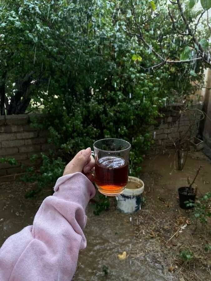 "مـن أبـسـط مـبـادئ الـفـرح أن لا تـؤذي غـيـرك.. "