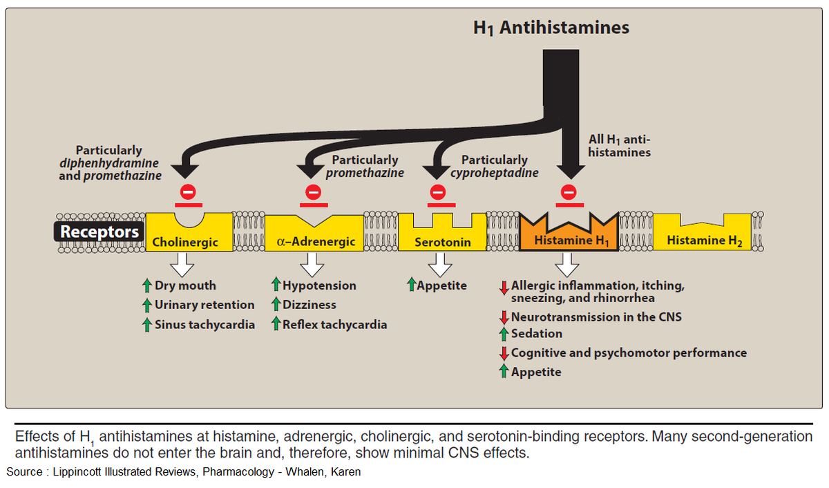 ManualOMedicine's tweet photo. Effects of H1 Antihistamines at Histamine, Cholinergic, Adrenergic and Serotonin-Binding Receptors
#medtwitter #foamed #meded #usmle #foamrx https://t.co/tcNlWyTcPv