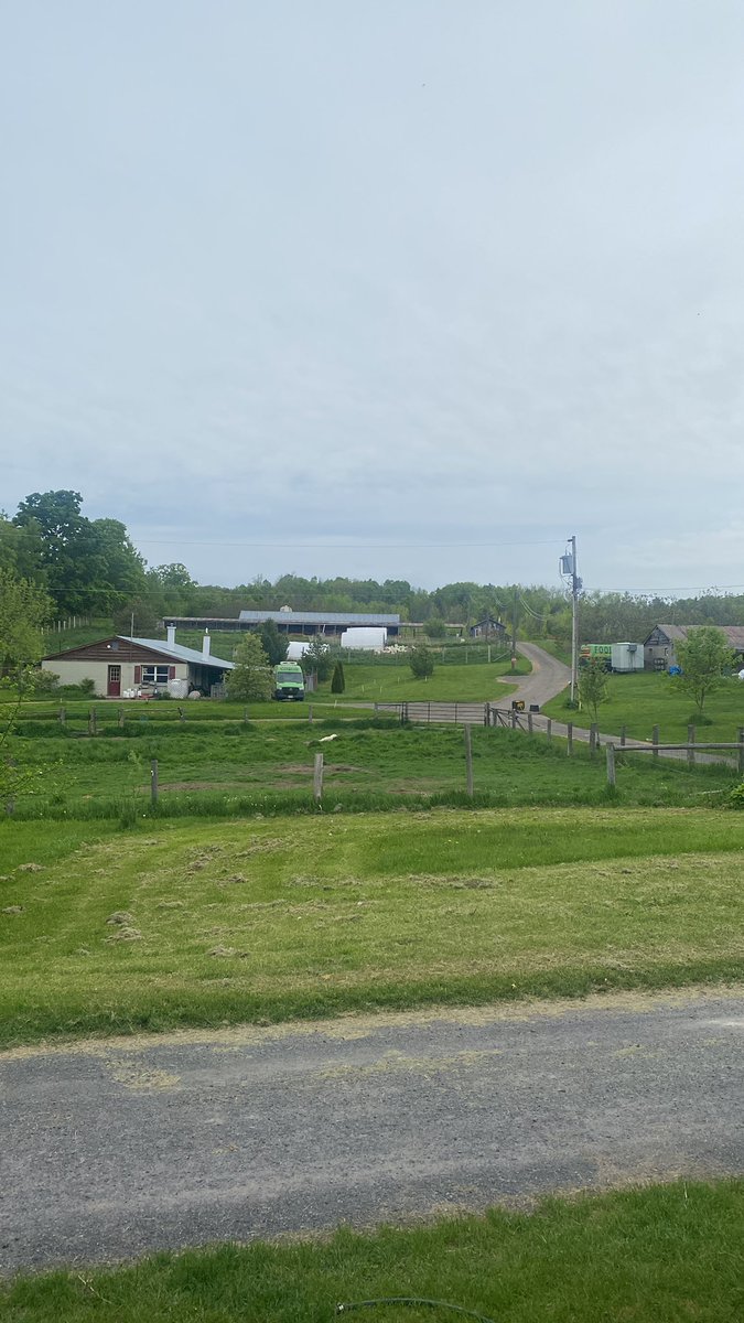 Day 5 without hydro on the farm. All looks serene, but the reality is crisis management as we try to keep systems running for livestock and frozen inventory. Anybody want to buy some chicken? Pop up market Saturday at All or Nothing Brewery. #StormSale