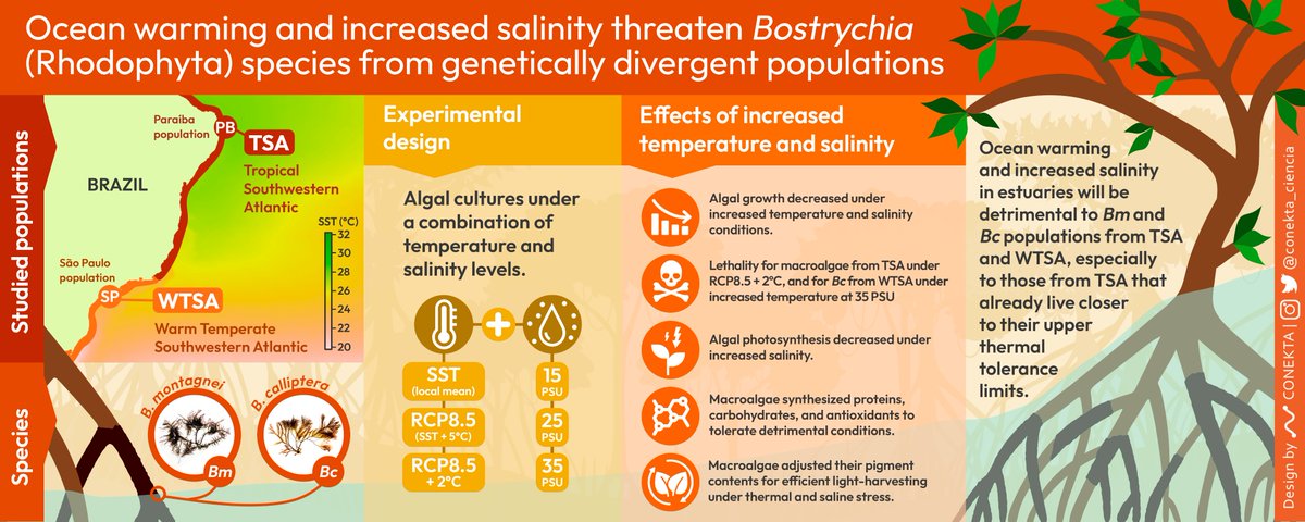 Henrique Borburema (@henriqueborbor2) on Twitter photo The second paper of my Ph.D. thesis has been published!🎉You can access it for free by clicking on this Share Link (authors.elsevier.com/a/1f8DEW5UJJ-Mq). Below👇you can find its Graphical Abstract (design by <a href="/conekta_ciencia/">Conekta</a> ) showing the main methods and findings! <a href="/PPGECOUFRN/">Pós Graduação em Ecologia - UFRN</a> <a href="/PropesqUFRN/">Pró-Reitoria de Pesquisa da UFRN</a> The second paper of my Ph.D. thesis has been published!🎉You can access it for free by clicking on this Share Link (authors.elsevier.com/a/1f8DEW5UJJ-Mq). Below👇you can find its Graphical Abstract (design by <a href="/conekta_ciencia/">Conekta</a> ) showing the main methods and findings! <a href="/PPGECOUFRN/">Pós Graduação em Ecologia - UFRN</a> <a href="/PropesqUFRN/">Pró-Reitoria de Pesquisa da UFRN</a>