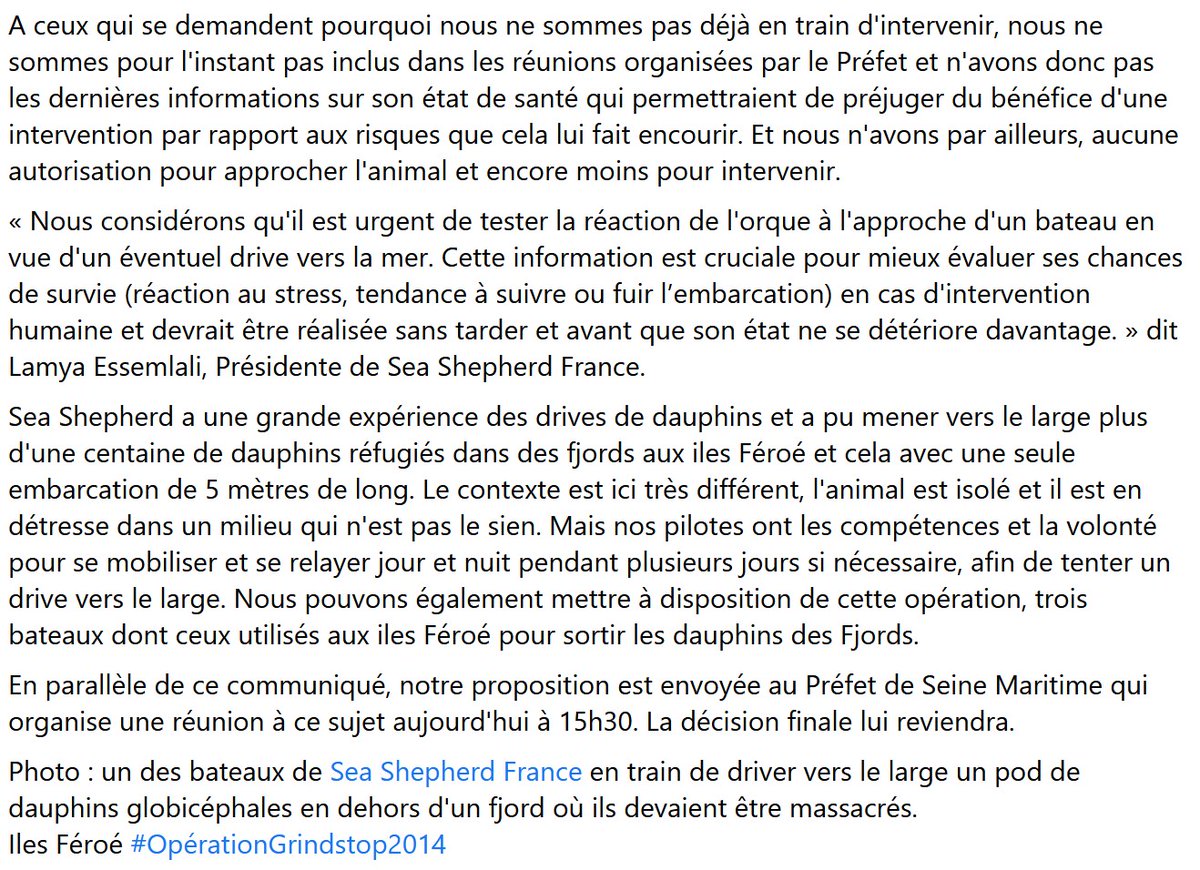 SeaShepherdFran's tweet photo. Sea Shepherd propose ses bateaux à l'État pour tenter de sauver l'orque dans la Seine.
Nous sommes prêts à nous relayer jour et nuit s'il le faut pour l'aider à regagner le large. 
@AdeMontchalin @Prefet76 @EmmanuelMacron @Elisabeth_Borne https://t.co/tsh2BMWpOs