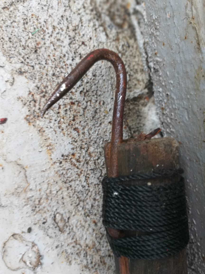 ATF-Chile 🌊⛴🎣🌎🪶 #Albatros #Conservación tweet media