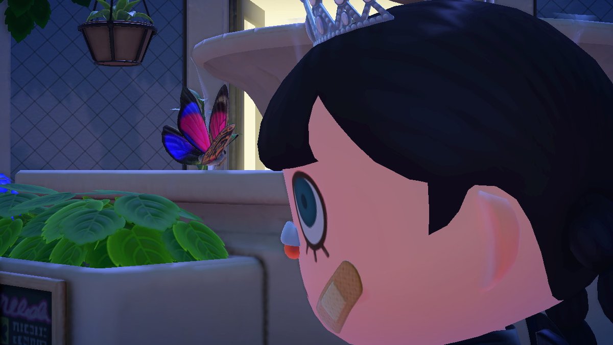 becky46n2's tweet photo. #AnimalCrossing #ACNH #NintendoSwitch https://t.co/bAsCTnNV8j