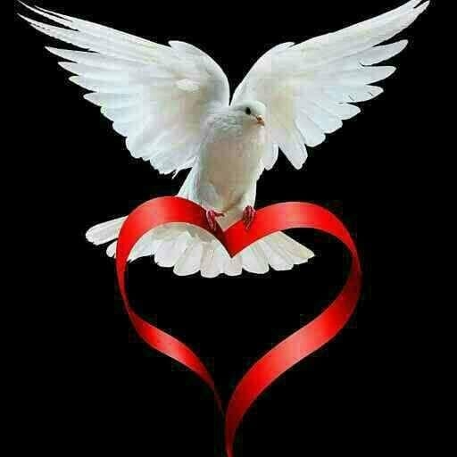 amera0992's tweet photo. شكرا لتويتر  وفريق الدعم فيه لمساعدتي في استعادة حسابي https://t.co/U9JIrExaOh