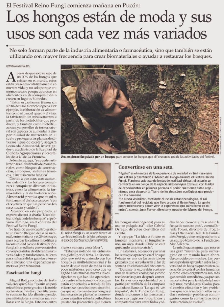 info_navarro's tweet photo. Los hongos 🍄 tienen reino, museo… y ahora Festival. @MuseodelHongo @VCT_ElMercurio @BSostenibles @ProgramaBosques https://t.co/ugboqQwHNH