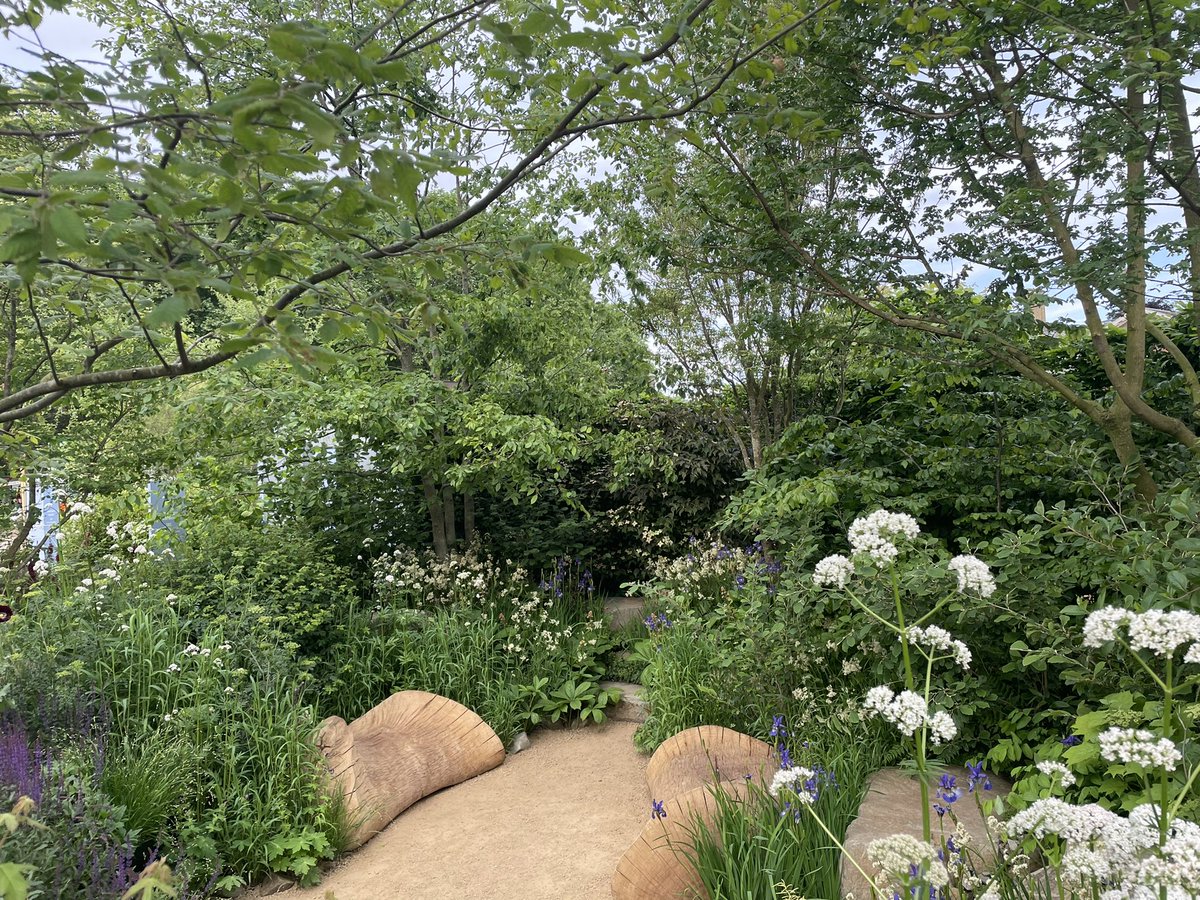 Form Plants Ltd tweet media