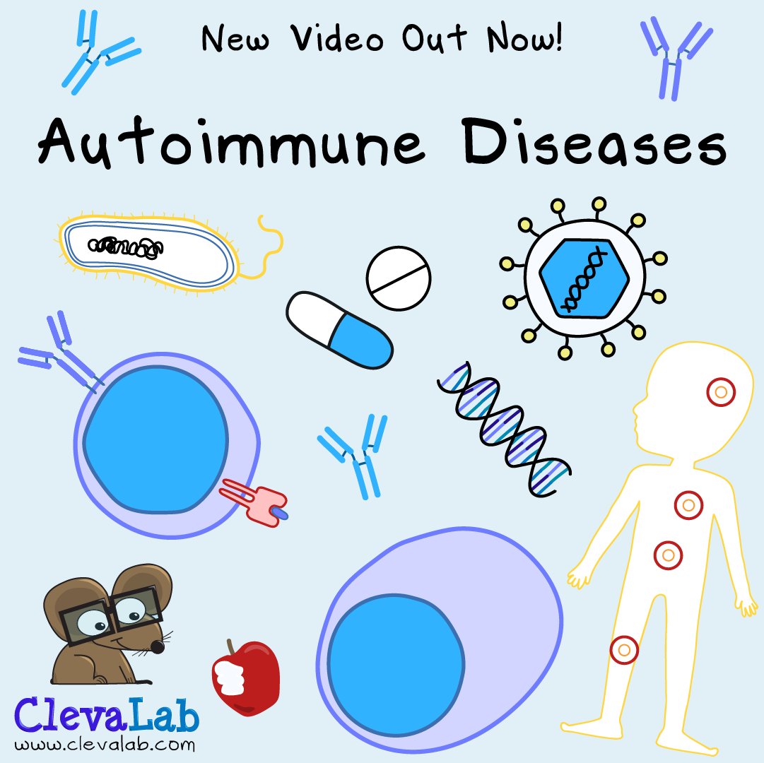 _ClevaLab's tweet photo. New #ClevaLab Video Out Now! π€ Learn about Autoimmune Diseases. What they are, how they develop and the symptoms they cause.
Follow the link to watch now. π https://t.co/uRgjXdrIRU
#autoimmunedisease #diabetes #lupus #multiplesclerosis #mecfs #LongCovid #immunology https://t.co/ahKhtFTynF