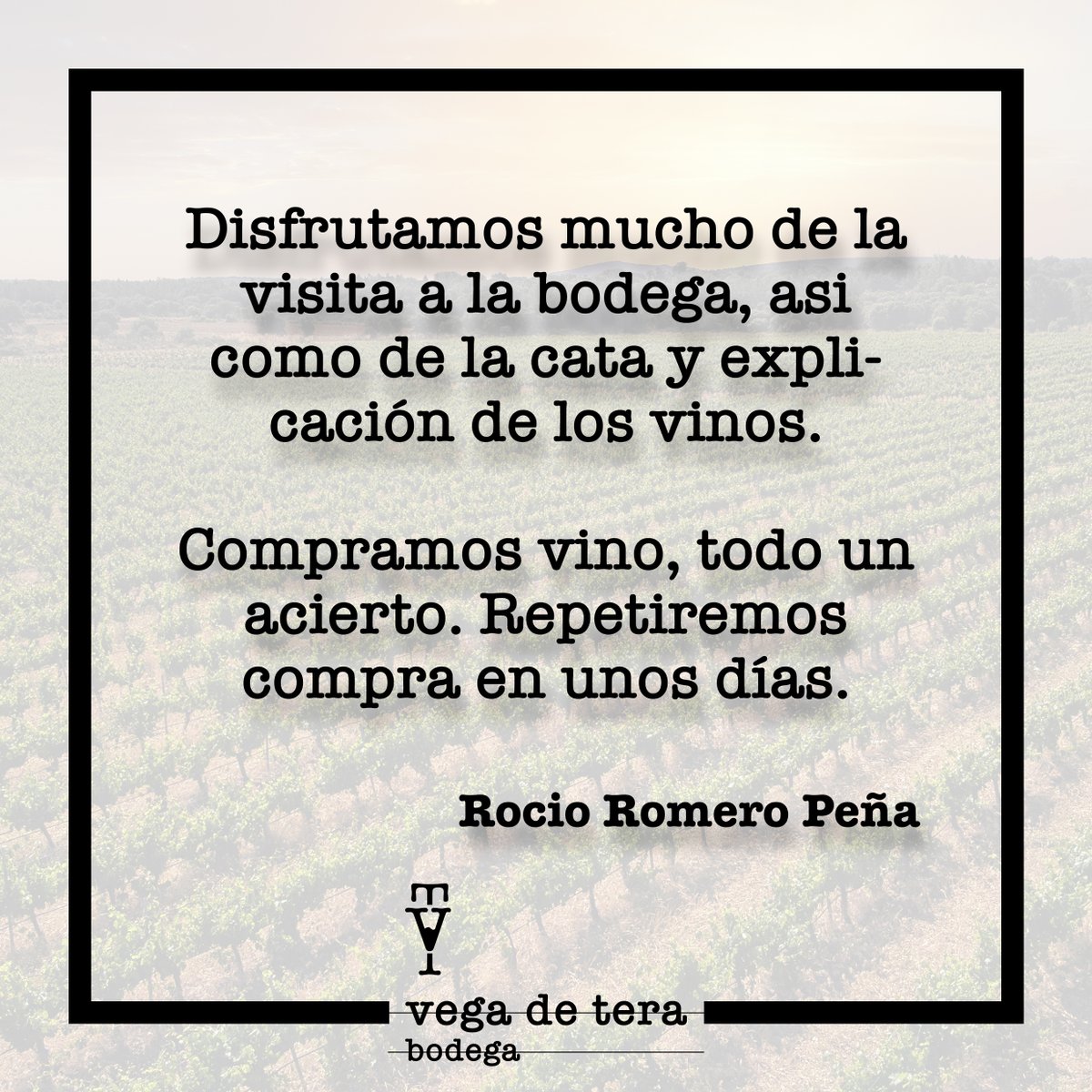 ¿Ya has probado nuestros vinos VEGA DE TERA y SITRAMA?

Es el momento de darnos tu feedback.

Déjanos tu valoración en nuestro perfil de empresa de Google para que nosotros y el resto de usuarios conozcan tu opinión.

#vino #wine #spain #winelovers #españa #food #bodega #redwine