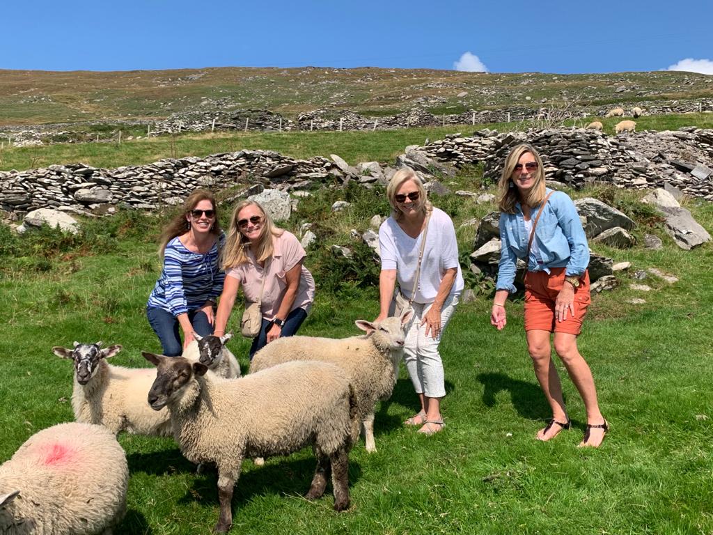 A few of our clients making some new friends along the Irish countryside
#Ireland #happyclients #irishcountryside