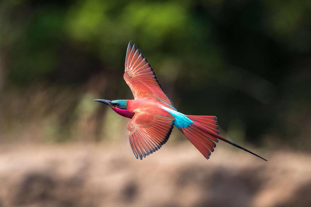 #GonarezhouActivity6 : Photography, scenic drives and bird watching.

 With so much to do at the park, taking a moment to enjoy the beauty at the park is one of the best activities to do. Picturing the beautiful scenery, wildlife and birds. We hope you will like the park 👏