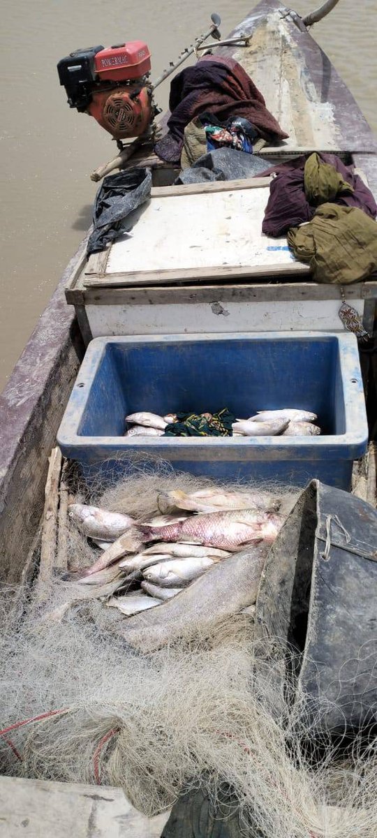 YouthClub_In's tweet photo. The Border Security Force caught a Pakistani fisherman who was in territory  of India. परिंदा भी पर नहीं मारते हैं जहाँ हमारे।सीमा सुरक्षा बल खड़ा रखते हैं। #Alert_BSF #TejaTroops  #TeJran #SexWorkers
#BSF_SeizedPakBoat
#SirCreekWarriors https://t.co/UT0T6T3Kzx