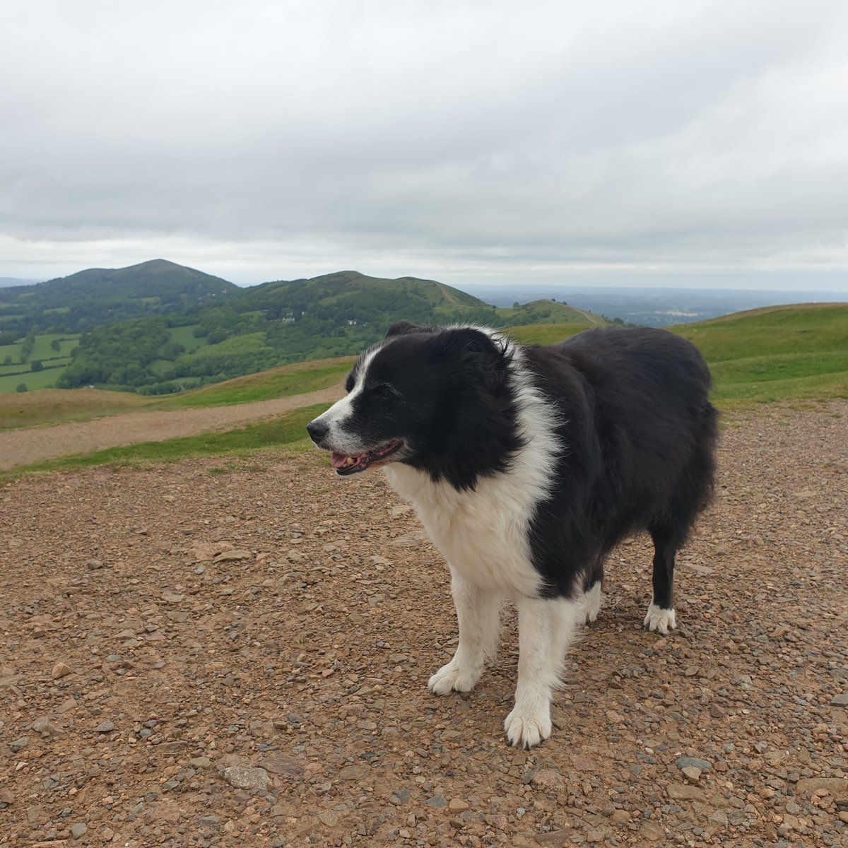reverberg's tweet photo. Not quite the Pyrénées but still beautiful in the windy Malvern Hills @BCTGB https://t.co/G5iTwn8Pie