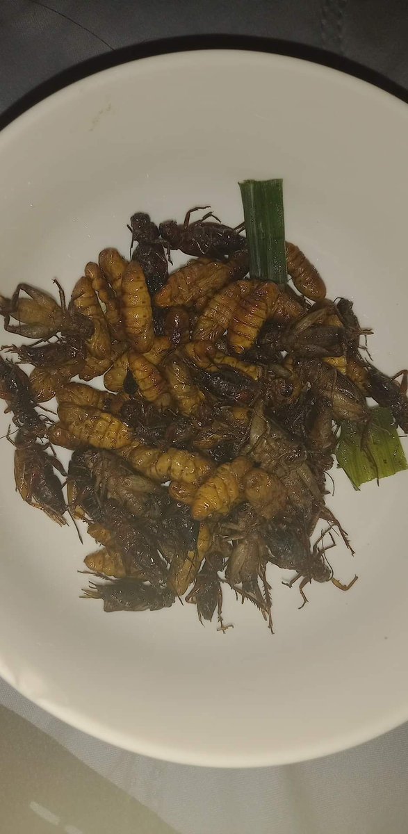 _Elixiess's tweet photo. @SamCafranca @frnzchuaa @vxonc13 @enzovince_ @ptrckrcmr20 

Pag pinadalhan ko ba kayo dyan sa Pinas ng fave kong Thai Exotic Snack itatry nyoo? HSHAHAHAHAHA

May BBQ and Cheese flavor dinn 😂😂😭

@vxonofficial 
#VXON https://t.co/dKEtg4Memg