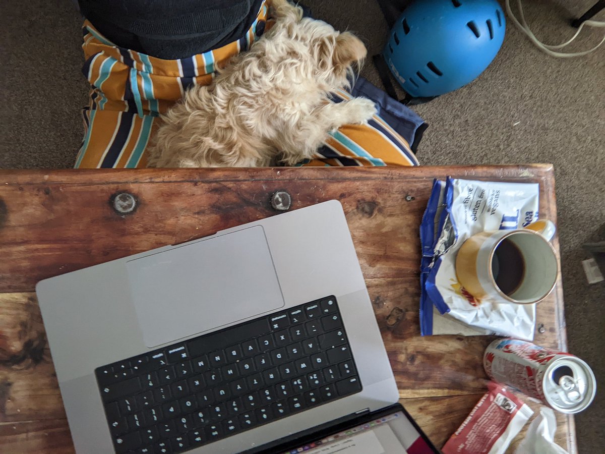 _emmaeharrison's tweet photo. A portrait of my week: work, caffeine, snac, dog https://t.co/P3hYObJsST