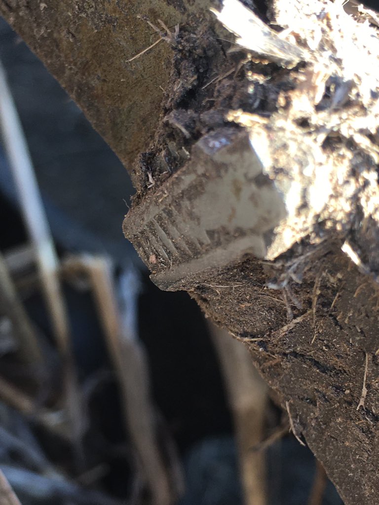 RodPohlner's tweet image. That $3 hose clamp stoped me getting out of the cab every 10mins to clean baked on mud off between the gauge wheel and the disc Usually I can run the wheel close or wide &amp;amp; one will work, when neither did the clamp stoped the build up but it did throw more mud so I made a mud flap