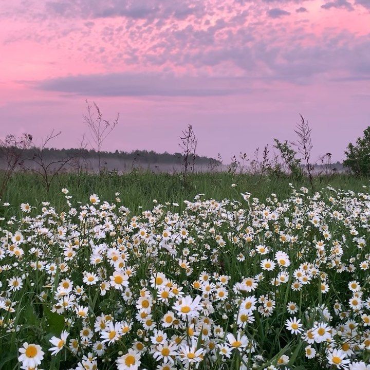 a place where my soul can rest.