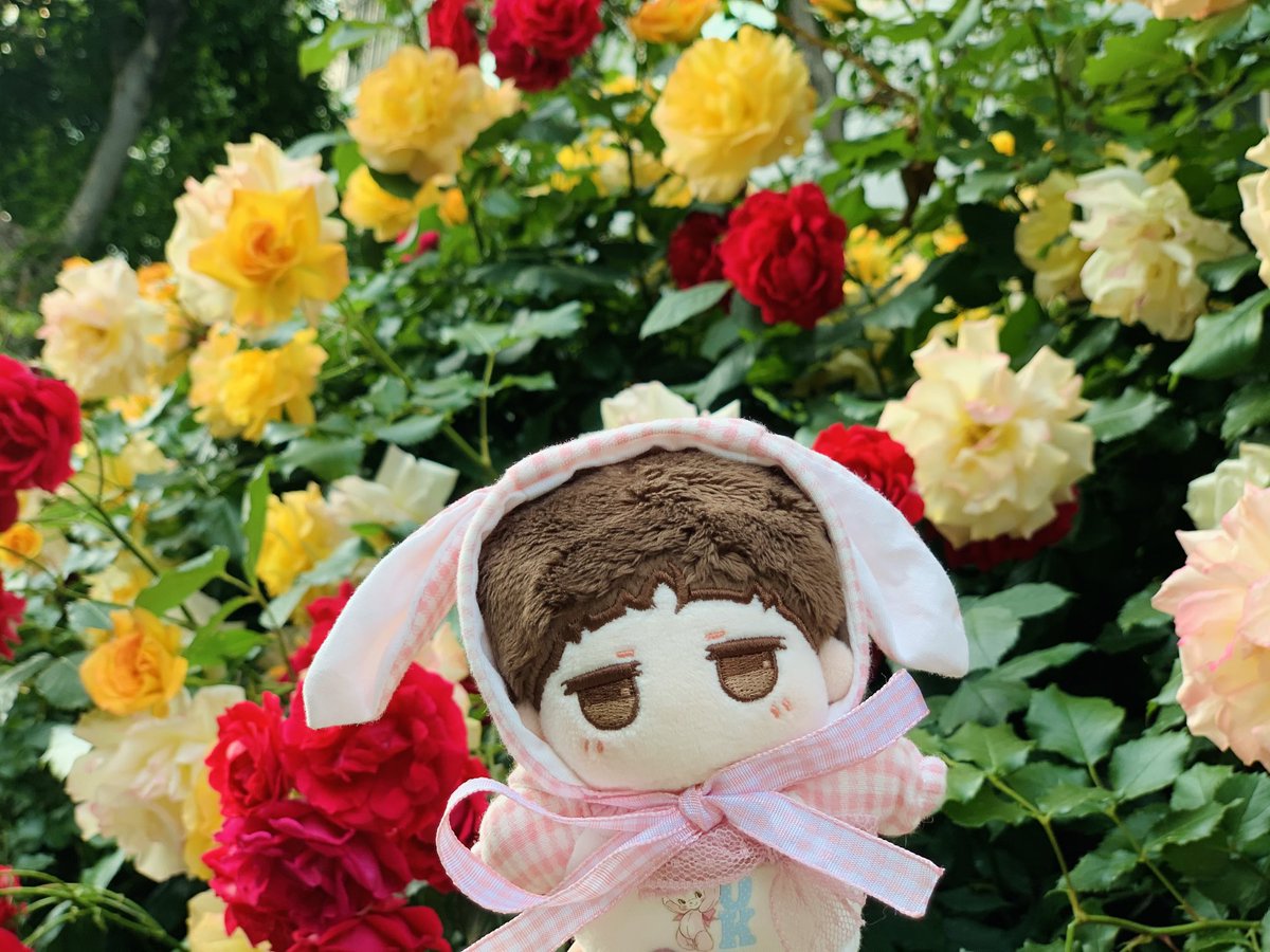 first_coco's tweet photo. 수오랑 꽃구경🌹🥰 https://t.co/iLZAsJnlTX