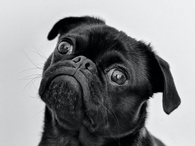 You won't know how to choose one over the other -- so come to them all! conta.cc/3PMcLw4