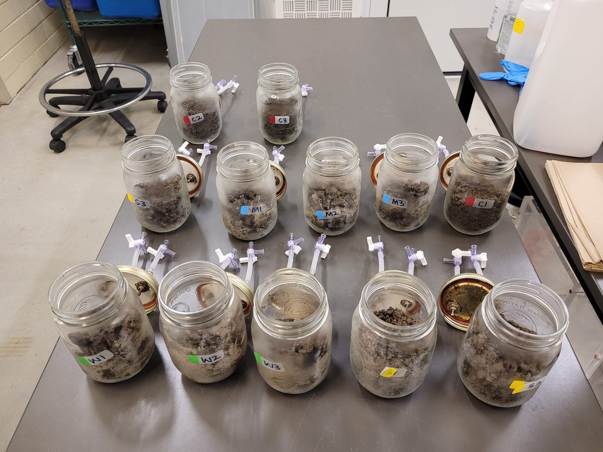 Prof. Maren Oelbermann tweet media