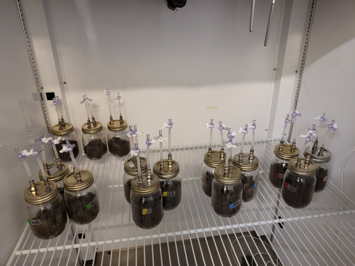 Prof. Maren Oelbermann tweet media