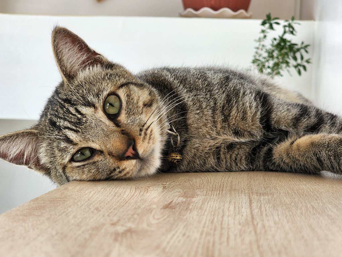r0dc3nt's tweet photo. I just wanna lie down and gaze at nowhere :) https://t.co/6GrkmGj7GH