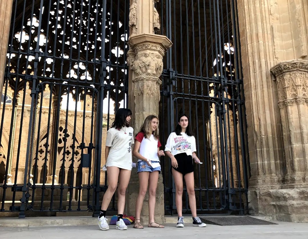 Institut d'Alpicat tweet media