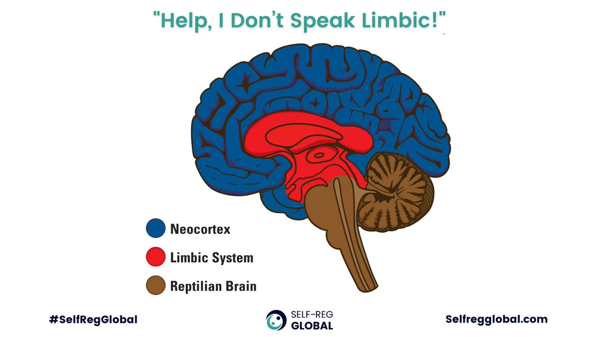 "Champions are those who are able to 'push themselves beyond their limits”—or at least, past others’ limits". - <a href="/StuartShanker/">Stuart Shanker & Co.</a> 
Read the blog "Help, I Don't Speak #Limbic":
selfregglobal.com/media/#:~:text…
#SelfRegGlobal #ShankerSelfReg