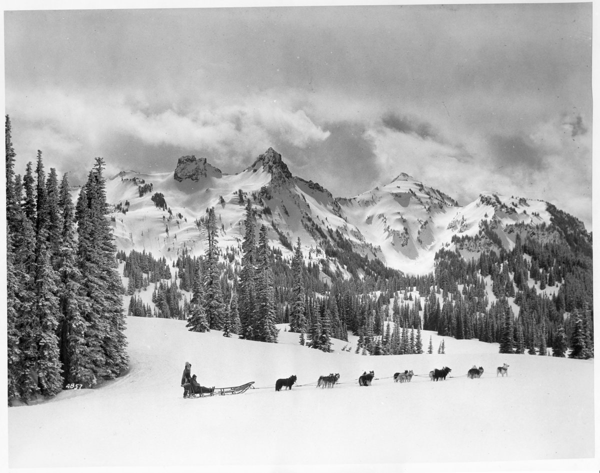 DiscoverRainier's tweet photo. Once upon a time, there were many activities in the park. This included dog sled tours. While these tours are no longer in service, it must have been so much fun to see the park via dog sled. Can you imagine?
#livinghistory #MORA #throwback #findyourpark #ourbackyardrocks https://t.co/wAJmPuiGs0