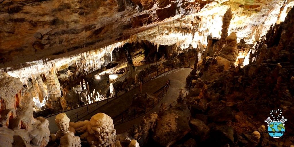 lemurinviaggio's tweet image. Uno strano animaletto vive nelle grotte carsiche. 
Ha zampette a 3 dita e simpatiche branchie piumate color rosa. É il #proteo ! 
In #Slovenia abbiamo avuto l'opportunità di vederne da vicino alcuni esemplari. 
Voi lo avete mai visto?
👉 wp.me/p8Erpb-3wd
#grottedipostumia