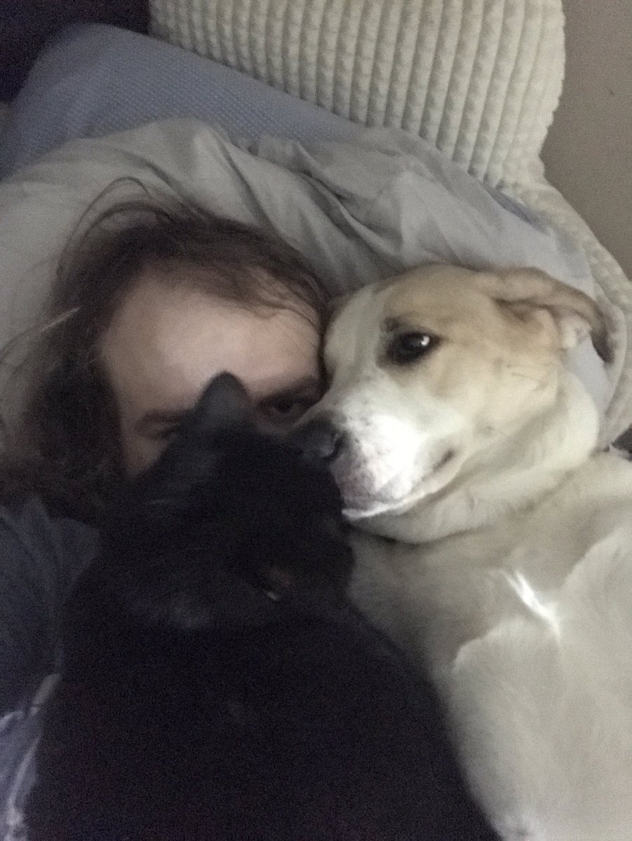 Mitchell Collins tweet media