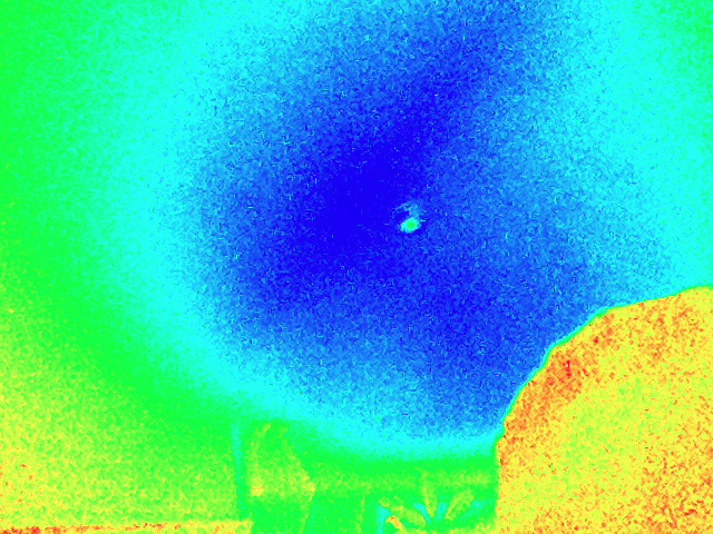 Sanne Koopman-v Dorp (@regelsammy) on Twitter photo 