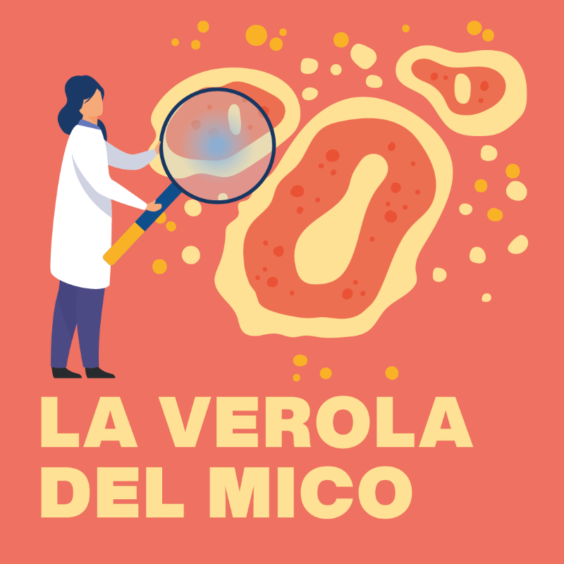 salutcat's tweet photo. 🤕 La verola del mico dona febre, mal de cap i esquena, calfreds, cansament i inflamació dels ganglis limfàtics. 

🏥 També erupcions cutànies als genitals o a la zona perianal que poden produir cicatrius i la necessitat de requerir hospitalització.