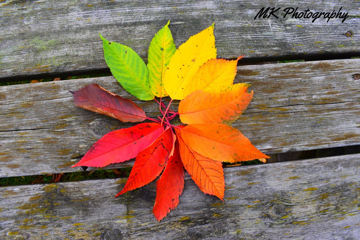 MKPhotography19's tweet photo. 📷📱
#Captured by me 
#Sweden #Stockholm TB
#Autumn 
☘️🍁🍂
#smartinspo
#Spring #Klartse #Sun 
#500pxrtg 
#MKphotography
#Nikon
#photo
#bns_landscape 
#photography #Instagram #instaphoto #picture #Nature #Shot 
@salovesunsets @500px https://t.co/HC9sVOmb2J