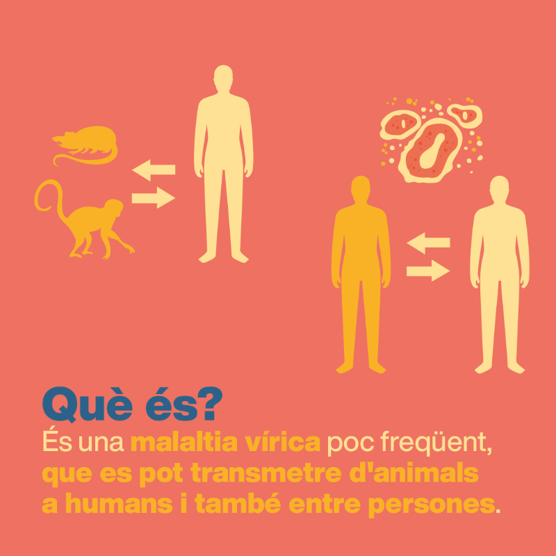 salutcat's tweet photo. 🤕 La verola del mico dona febre, mal de cap i esquena, calfreds, cansament i inflamació dels ganglis limfàtics. 

🏥 També erupcions cutànies als genitals o a la zona perianal que poden produir cicatrius i la necessitat de requerir hospitalització.