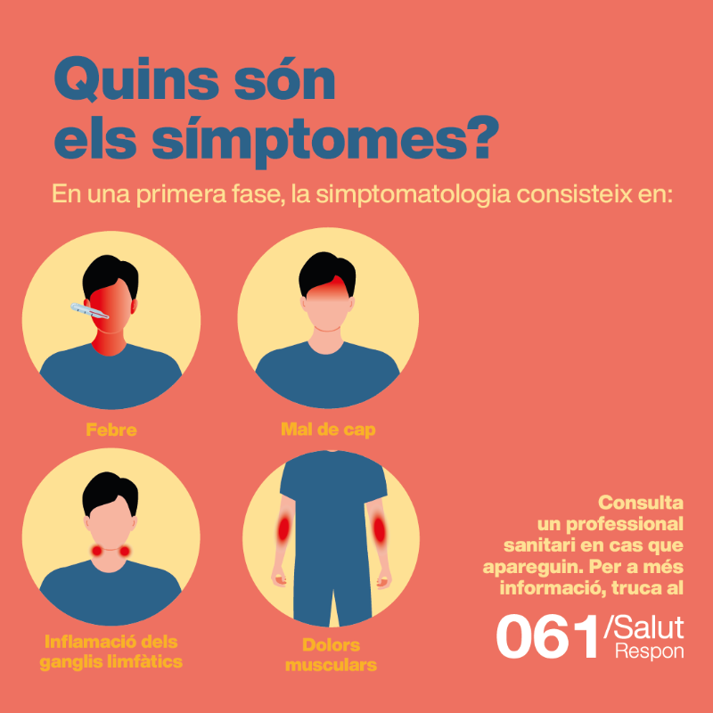 salutcat's tweet photo. 🤕 La verola del mico dona febre, mal de cap i esquena, calfreds, cansament i inflamació dels ganglis limfàtics. 

🏥 També erupcions cutànies als genitals o a la zona perianal que poden produir cicatrius i la necessitat de requerir hospitalització.
