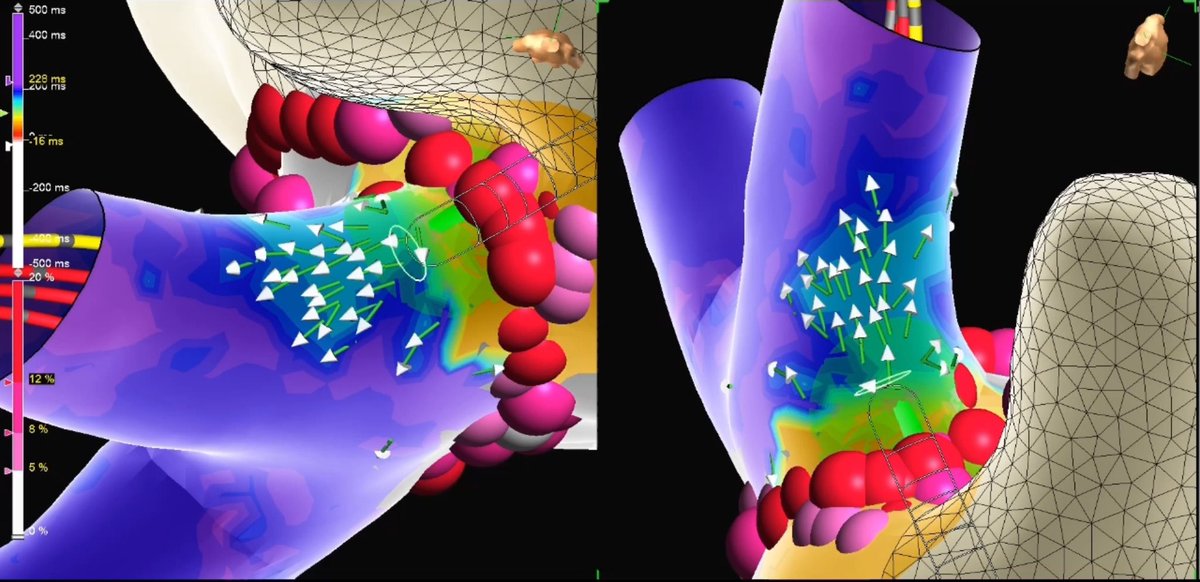 Mallory Taylor tweet media
