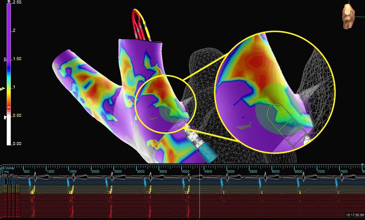 Mallory Taylor tweet media