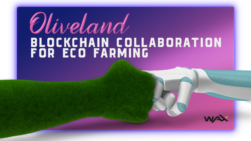 Oliveland tweet media
