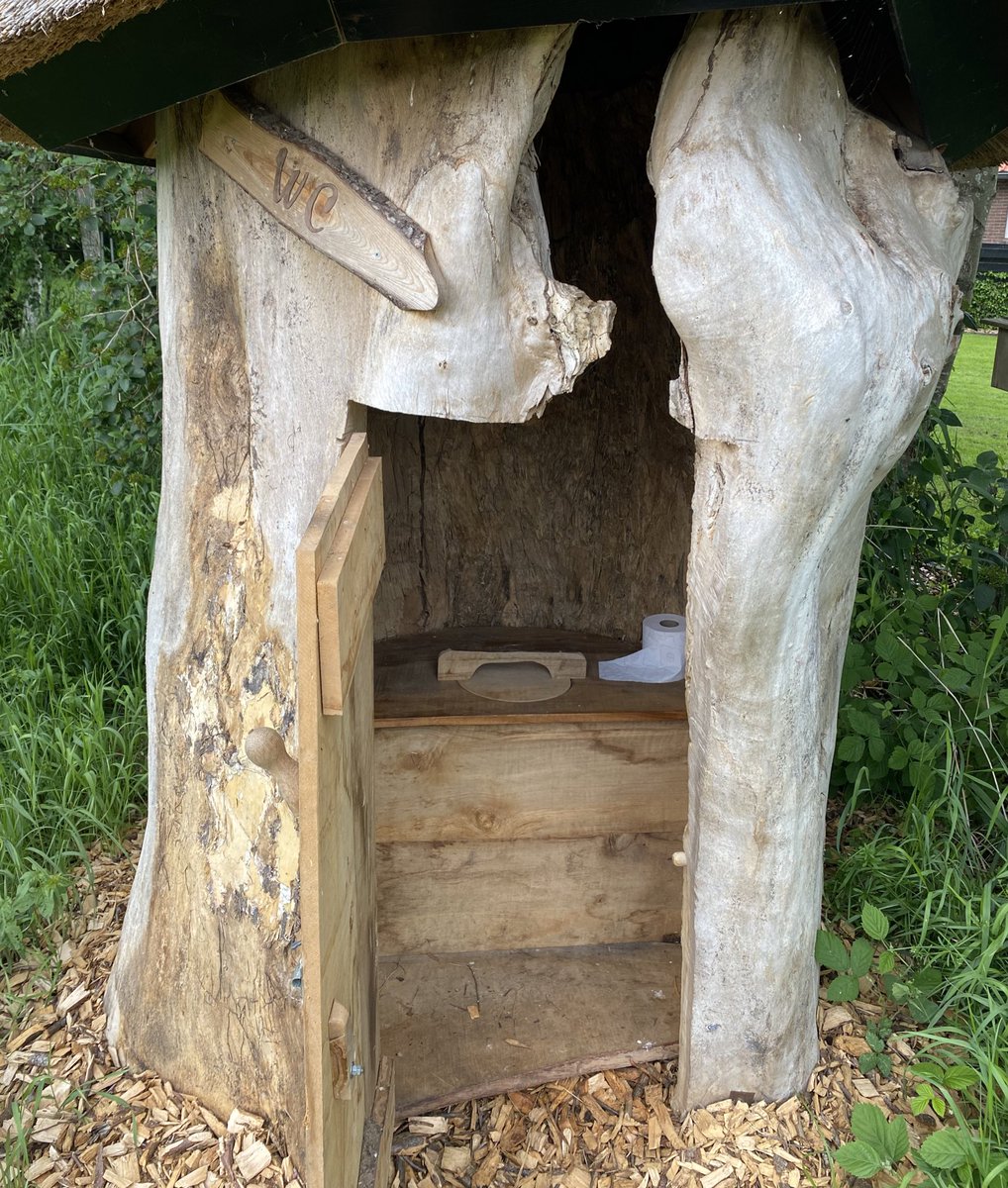 In mijn leven heb ik tégen heel wat bomen geplast; maar in een boom nog nooit.