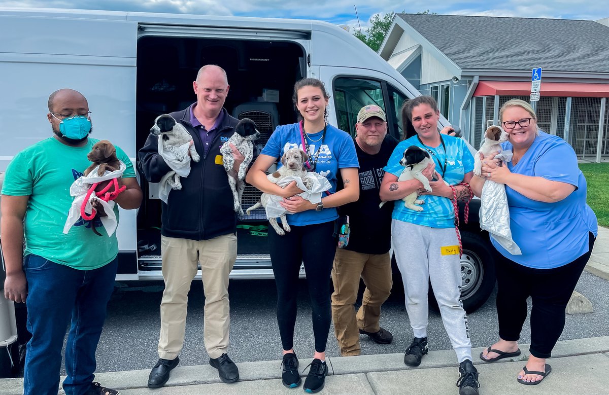 THE MAGIC TRANSPORT BUS! A sneak peek of some of our new, temporary crew members that arrived this past week from the South! As they are not up for adoption quite yet, they will be soon! Interested? Check delawarehumane.org/dogs daily for their big debut! #Adopt #DE #Pups
