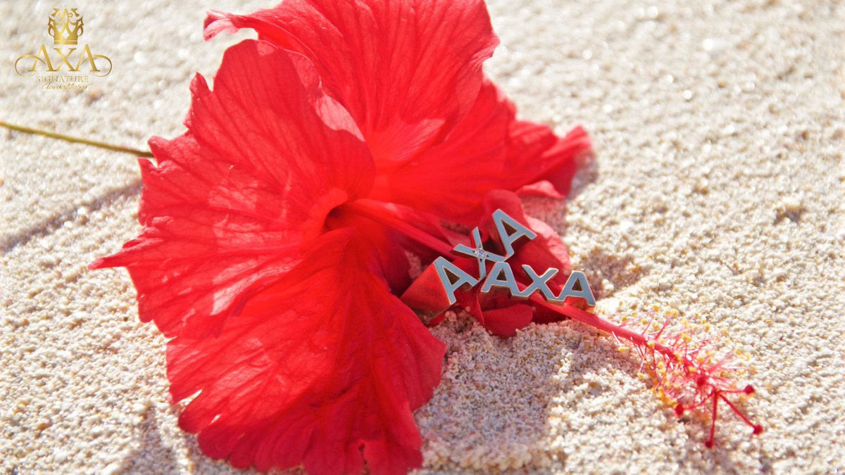 AXASJewellery's tweet photo. Don't leave your memories of paradise behind on one of AXA's beautiful sandy beaches when you finish your holiday, wear them as a reminder wherever you may go, with ASJ's   #luxuriousmemoriesofparadise statement pieces for men &amp; women 
#ExclusivityRedefined https://t.co/PHcK5OIrWH