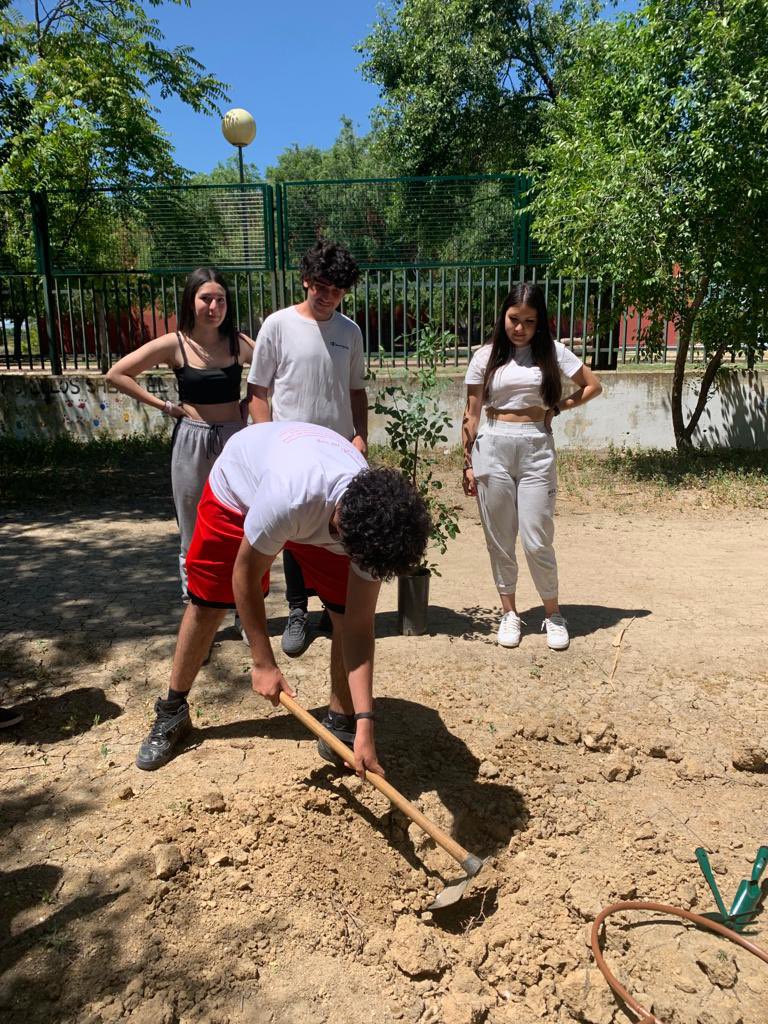 IES VALDEBERNARDO tweet media
