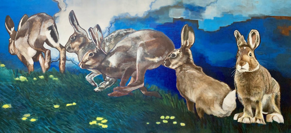 keiusagi555's tweet photo. I was looking for the balance of the painting this morning. It’s almost done.
#art #artwork #mural #panelpainting #wildanimal #hare #wildflower #dendalion #絵画 #アクリル #パネル #野うさぎ https://t.co/ZZuTbcyvfZ
