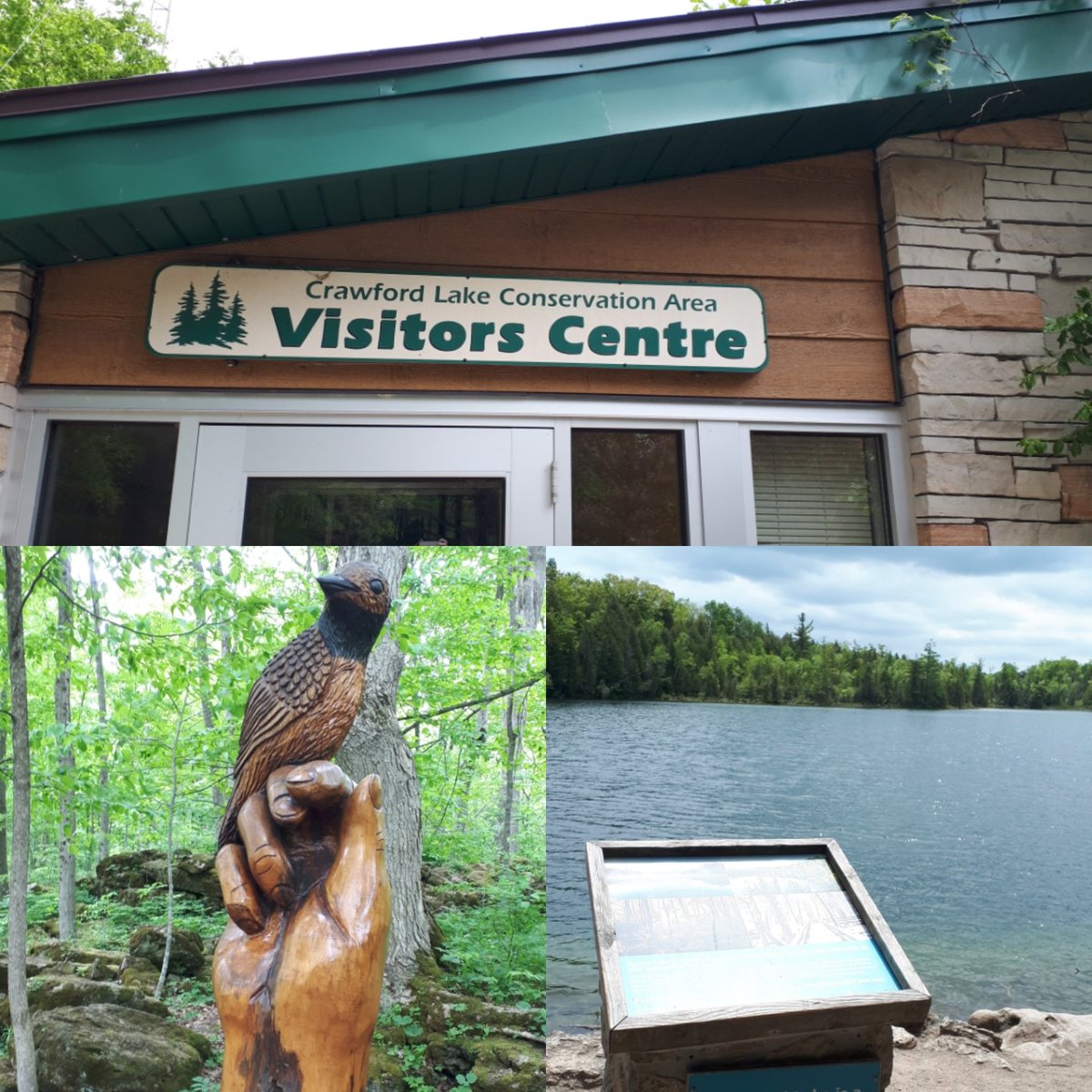 mrs_kitney's tweet image. Great day at Crawford Lake with Mrs. Charrey's Grade 5 class! Too many #funfacts to list! @SebastianDPCDSB #EXCELclass